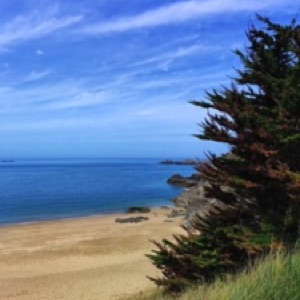 🌊.#bretagne #france #landscape #nature #sea